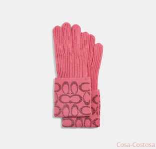 Итальянские бренды Перчатки Коач розовые